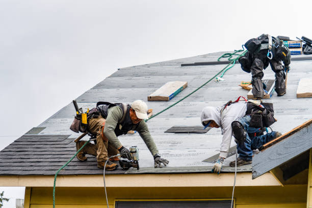 Professional Gutter Installation technician working in Prentiss, MS